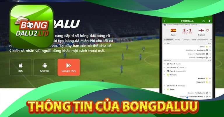 Khái quát thông tin của bongdalu