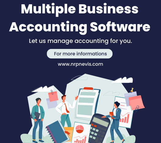 Multiple Business Accounting Software