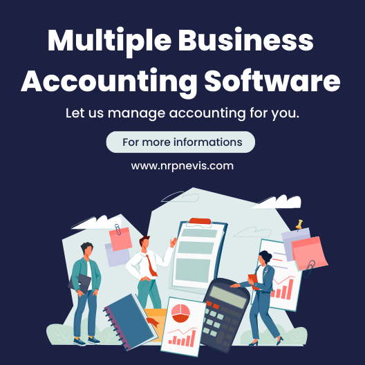 Multiple Business Accounting Software