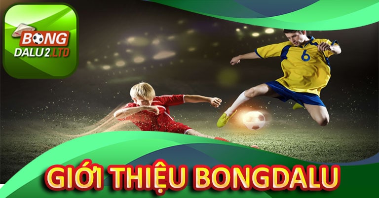 Thông tin sơ lược về Bongdalu 