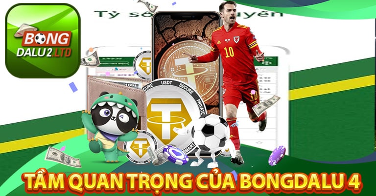 Tầm quan trọng của bongdalu 4 trong cá cược