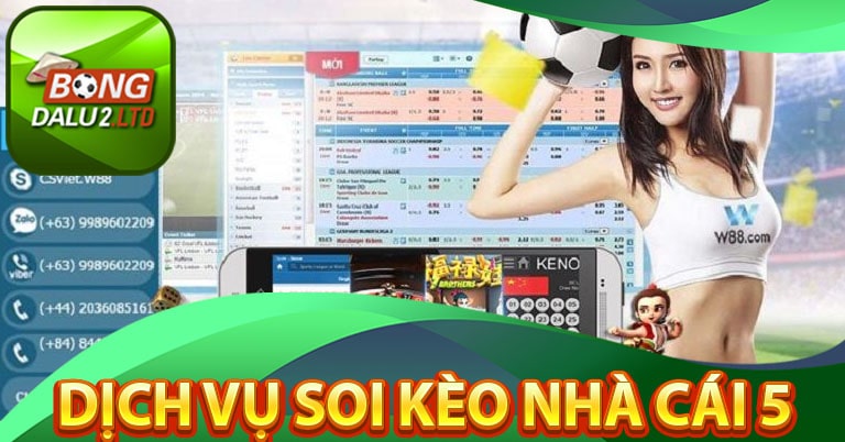 Dịch vụ soi kèo nhà cái 5