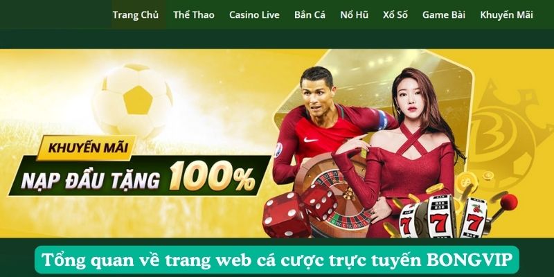 Tổng quan về trang web cá cược trực tuyến BONGVIP