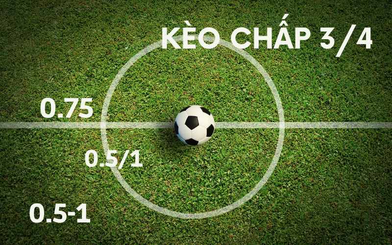 Kèo chấp 0.75 là gì? Cách đọc kèo và tính tiền chuẩn xác