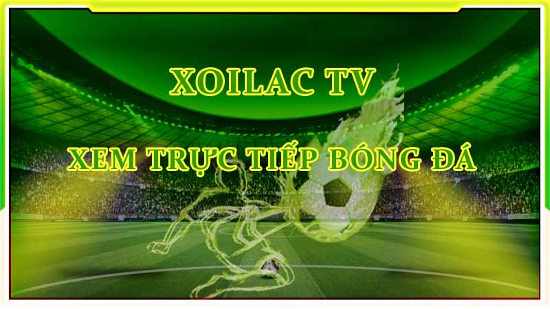 Tổng hợp các giải đấu hàng đầu phát sóng trực tiếp tại trang xoilactv