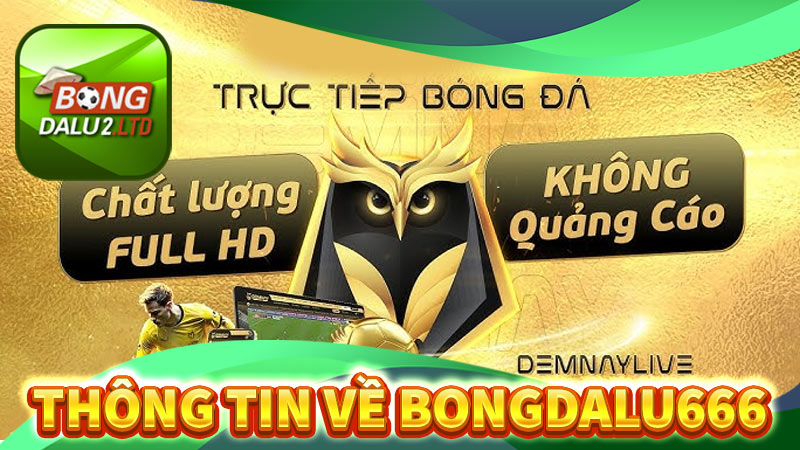 Thông Tin Giới Thiệu Về Bongdalu666