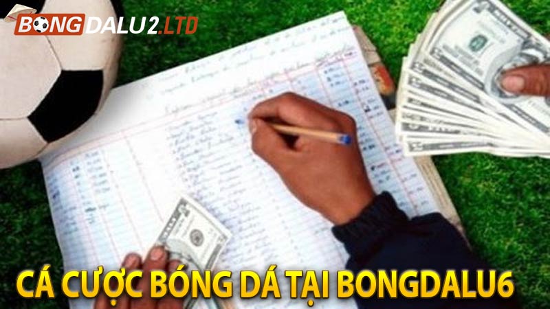 Giới thiệu về cá độ bóng đá tại bongdalu6