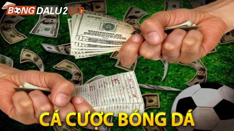 Cá cược bóng đá