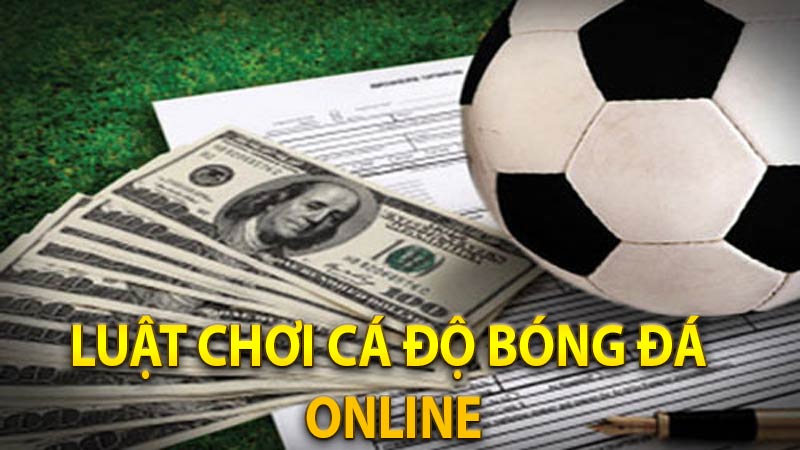 Luật chơi cá độ bóng đá online