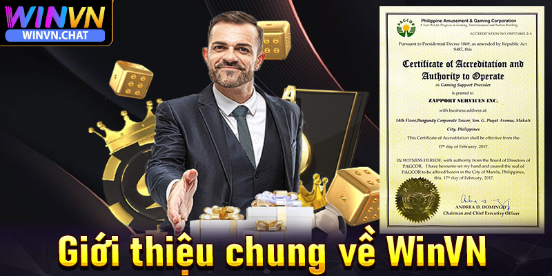 Giới thiệu chung về WinVN - Lịch sử, Giấy phép hoạt động